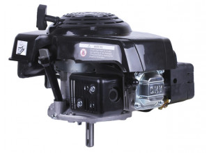 Двигатель TT AGRO MOTO 1P65F (вал шпонка Ø22 мм)