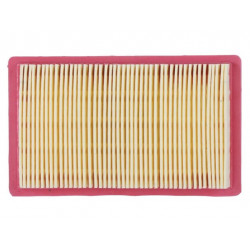 Елемент повітряного фільтра (паперовий) P65F (ZS), P70F (ZS) TTG