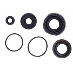 Сальники редуктора (комплект) YBX