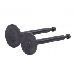 Клапана (комплект) 168F, 170F YBX