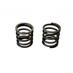 Пружина клапана (комплект) 156F