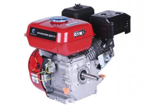 Двигун TT AGRO MOTO 170F (вал конус)