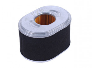 Елемент повітряного фільтра (паперовий) 168F, 170F TTG