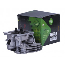 Головка цилиндра (в сборе) 168F, 170F TTG