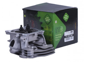 Головка циліндра (у зборі) 168F, 170F TTG