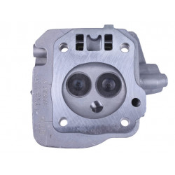 Головка цилиндра (в сборе) 168F, 170F TTG