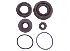 Сальники редуктора (комплект) TTG