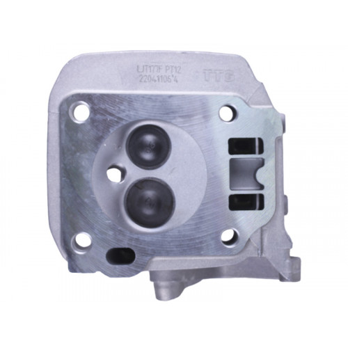 Головка циліндра (у зборі) двигун 177F TTG