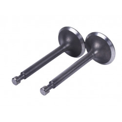 Клапана (комплект) 168F, 170F TTG