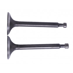 Клапана (комплект) 168F, 170F TTG