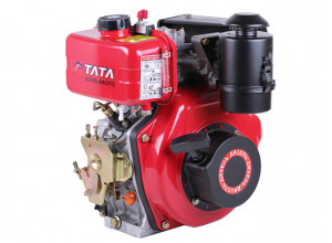 Двигатель TT AGRO MOTO 173D (вал шлицы Ø25 мм)