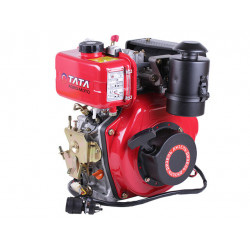 Двигун TT AGRO MOTO 173DE (вал шліци Ø25 мм)