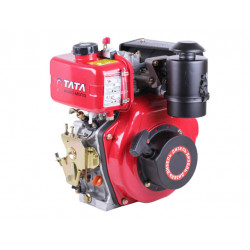 Двигун TT-AGRO-MOTO 173D (вал шпонка Ø20 мм)