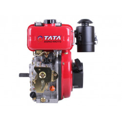 Двигун TT-AGRO-MOTO 173D (вал шпонка Ø20 мм)