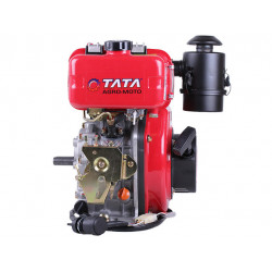 Двигун TT AGRO MOTO 173DE (вал шпонка Ø20 мм)