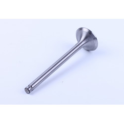 Клапан впускной DL190-12 Xingtai 120