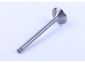 Клапан впускной DL190-12 Xingtai 120