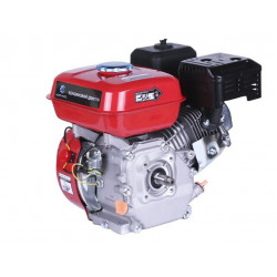 Двигун TT AGRO MOTO 170F (вал різьба Ø16 мм)