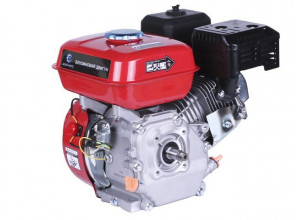 Двигун TT AGRO MOTO 170F (вал різьба Ø16 мм)