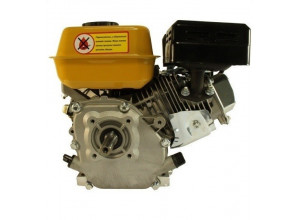 Двигатель Forte F210GS-20