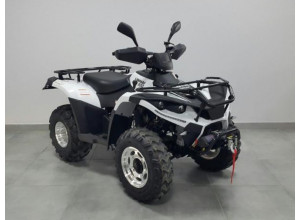 Квадроцикл Linhai LH300ATV-3D