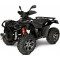 Квадроцикл LINHAI LH400ATV-D EFI (черный)