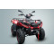 Квадроцикл LINHAI LH300 ATV-D (Красный)