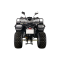 Квадроцикл Rato ATV 200 Standart