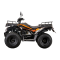 Квадроцикл Rato ATV 200 Standart