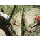 Высоторез Husqvarna 327PT5S