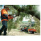 Цепная пила Husqvarna 435 II
