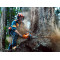 Цепная пила Husqvarna 395 XP
