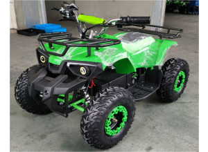 Електроквадроцикл FORTE ATV1000RB