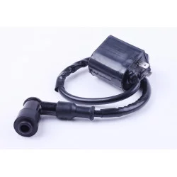Катушка зажигания AD50/sepia