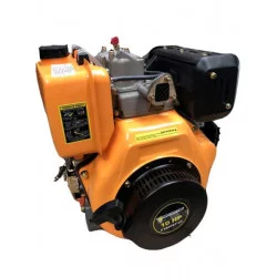 Двигун Forte F186FET-25