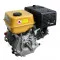 Двигатель Forte F390G
