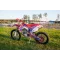 Мотоцикл BSE M250 ENDURO