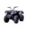 Квадроцикл Linhai M150