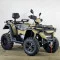 Квадроцикл LINHAI 550L EFI (зеленый)