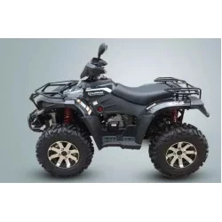 Квадроцикл LINHAI LH300 ATV-D (Чорний)