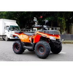 Квадроцикл Rato ATV 200 Standart