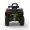 Квадроцикл Segway Snarler AT6 Hybrid (чёрно-зелёный)