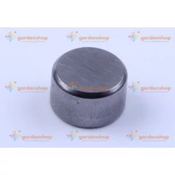 Компенсатор клапана тепловий - на двигун 168F, 170F
