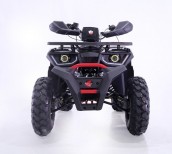 Фото - Квадроцикл FORTE BRAVES 200 LUX (червоно-чорний)