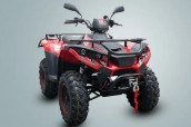 Квадроцикл LINHAI LH300 ATV-D (Червоний) цена