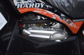 Фото - Квадроцикл MIKILON Hardy 200L (чорний)
