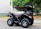 Фото - Квадроцикл Rato ATV 200 Premium