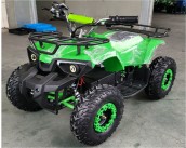 Электроквадроцикл FORTE ATV1000RB цена