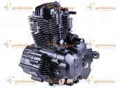 Двигун CG250/CG250-B ZONGSHEN на мотоцикл (механіка 5 передач з повітряним охолодженням, бензиновий) цена