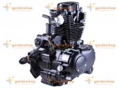 Двигун CG250/CG250-B ZONGSHEN (MD-020)